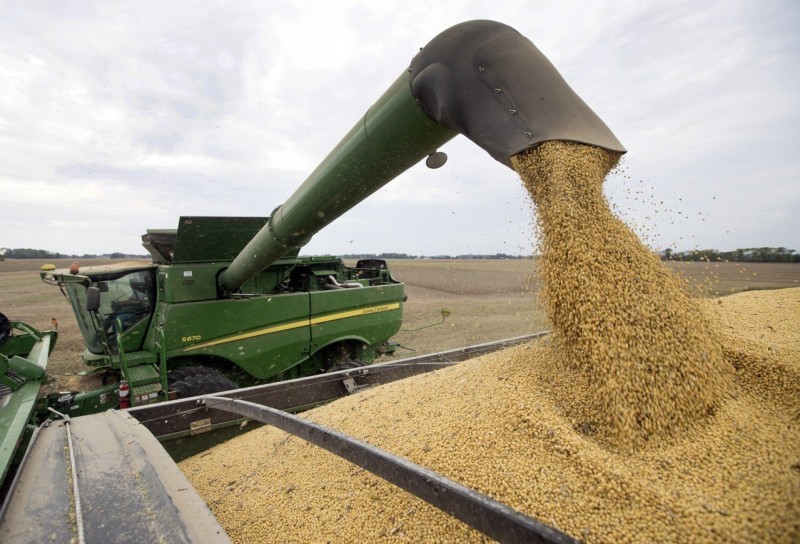 貿易戰升級！中國停買美大豆 美徵2產品反傾銷稅