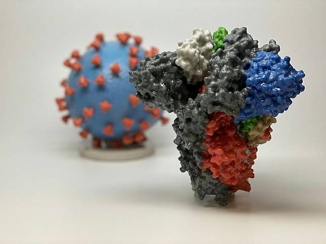 對付新型冠狀病毒 荷蘭研究人員發現新抗體