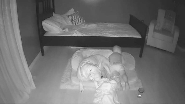寶寶睡覺太孤單「跑下床抱狗酣睡」　媽開監視器秒被融化！
