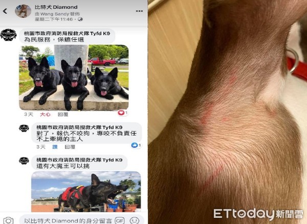 60天沒吃牛排！比特犬見肉「浮誇升天笑」迷暈3000粉：眼睛都不見了～